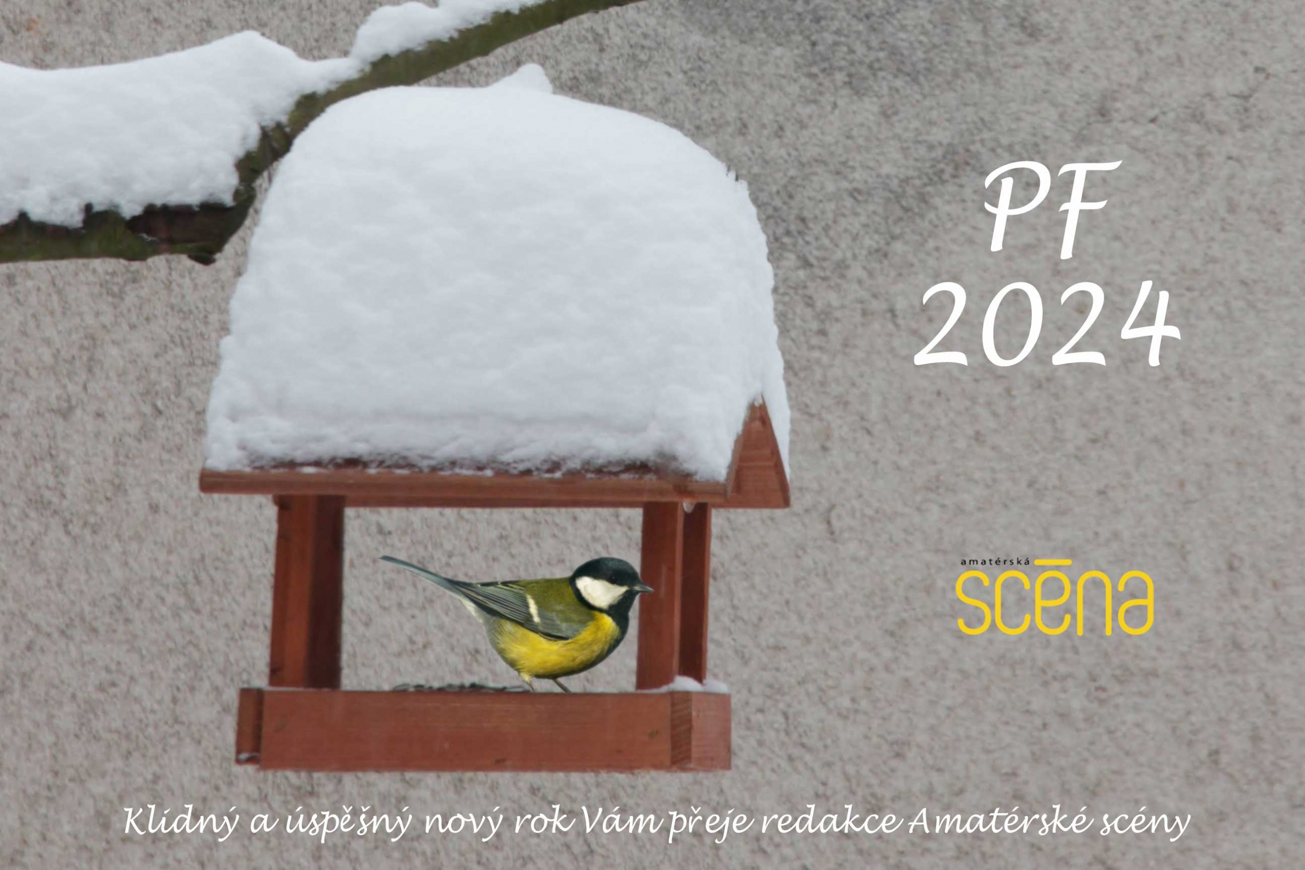 PF 2024